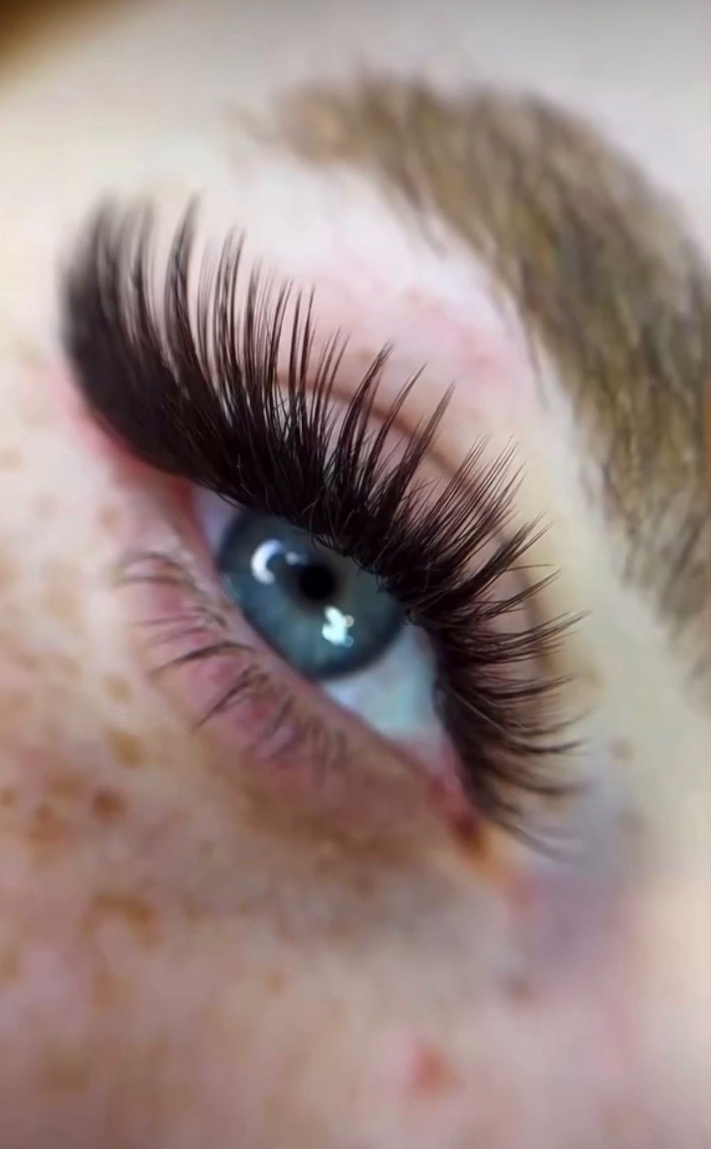 Mega Volume Wispy — LashMash Beauty